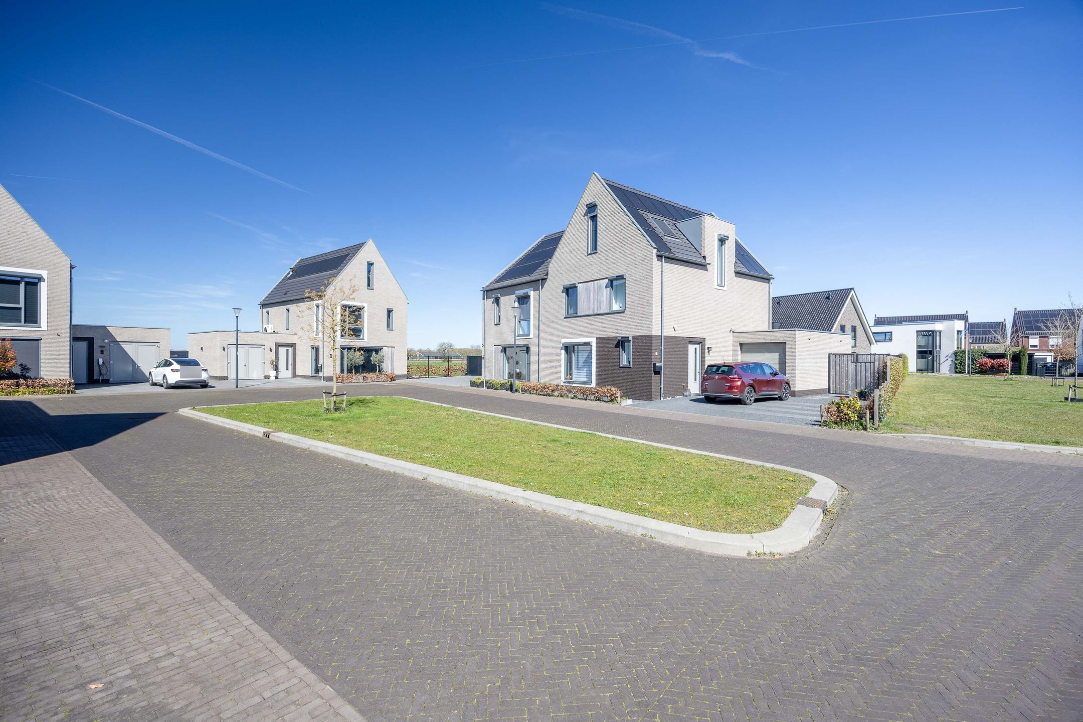 Foto 42 van Patrijs 6