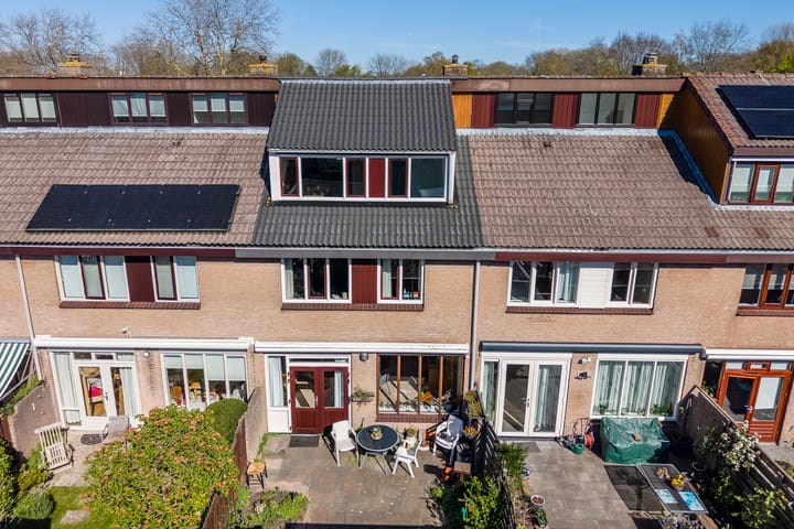 Foto 3 van Vogelwaarde 65