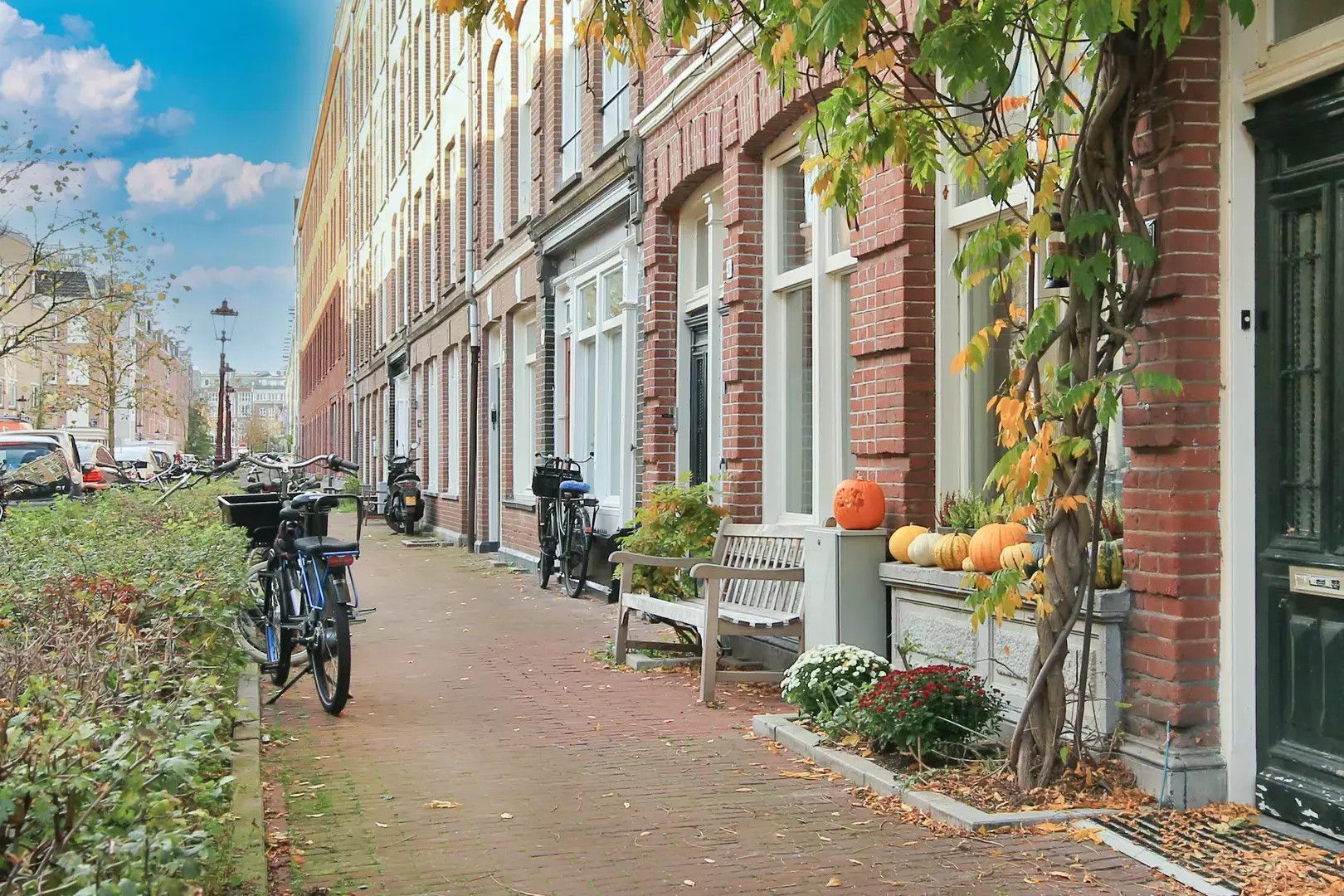 Photo 21 of Fagelstraat 36-2