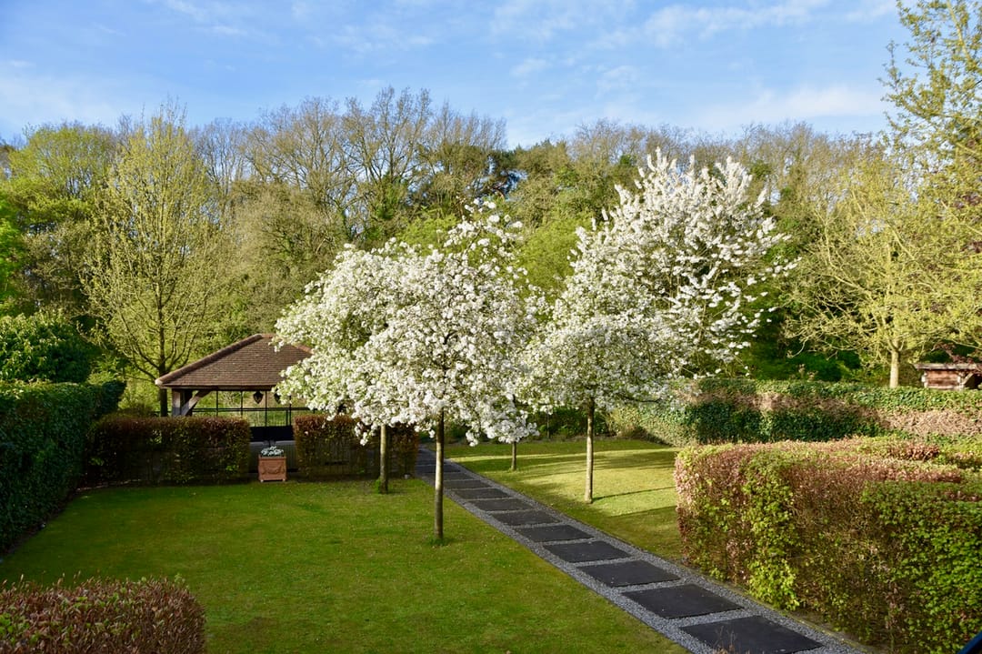 Photo 2 of Koningspagehof 17