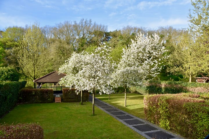 Photo 2 of Koningspagehof 17