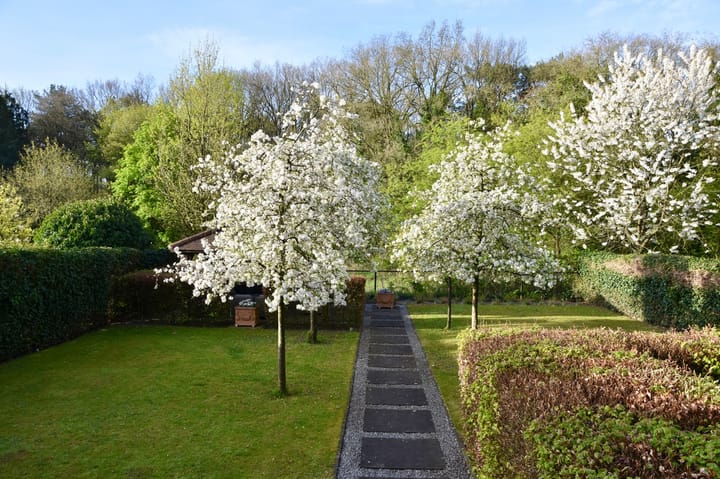 Photo 3 of Koningspagehof 17