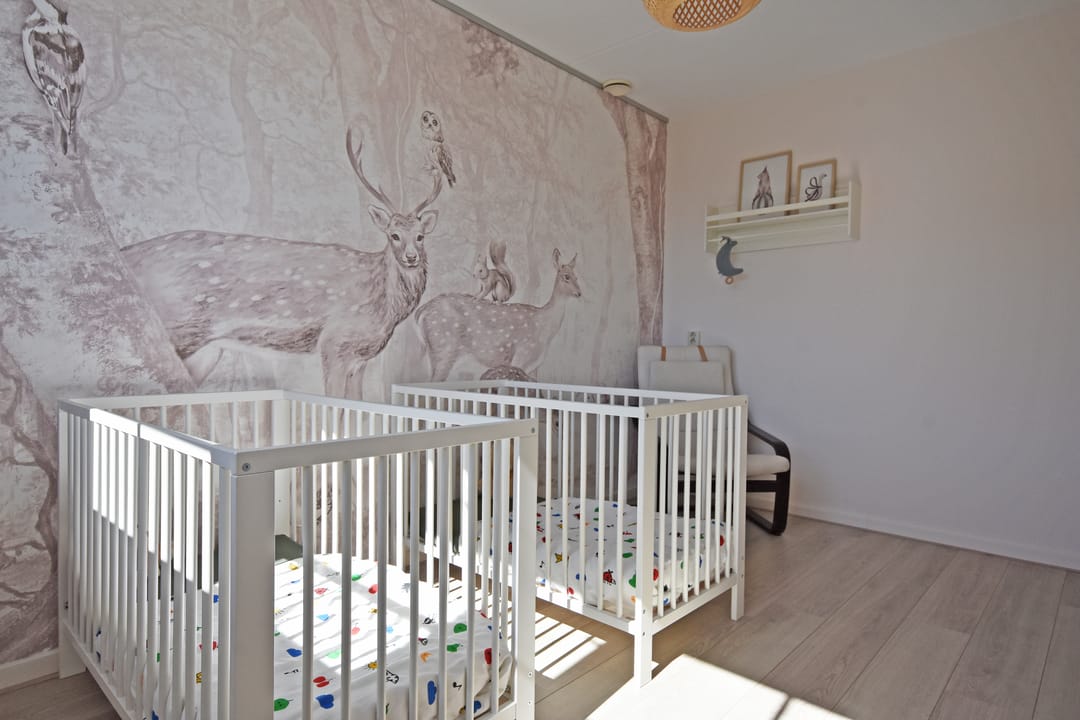 Photo 43 of Ds Carsjenssingel 59