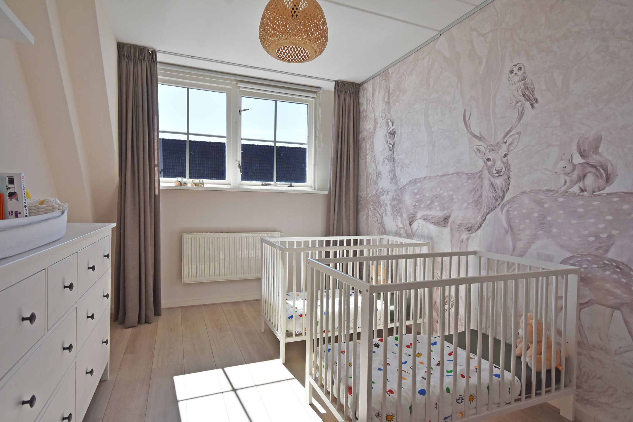 Photo 42 of Ds Carsjenssingel 59