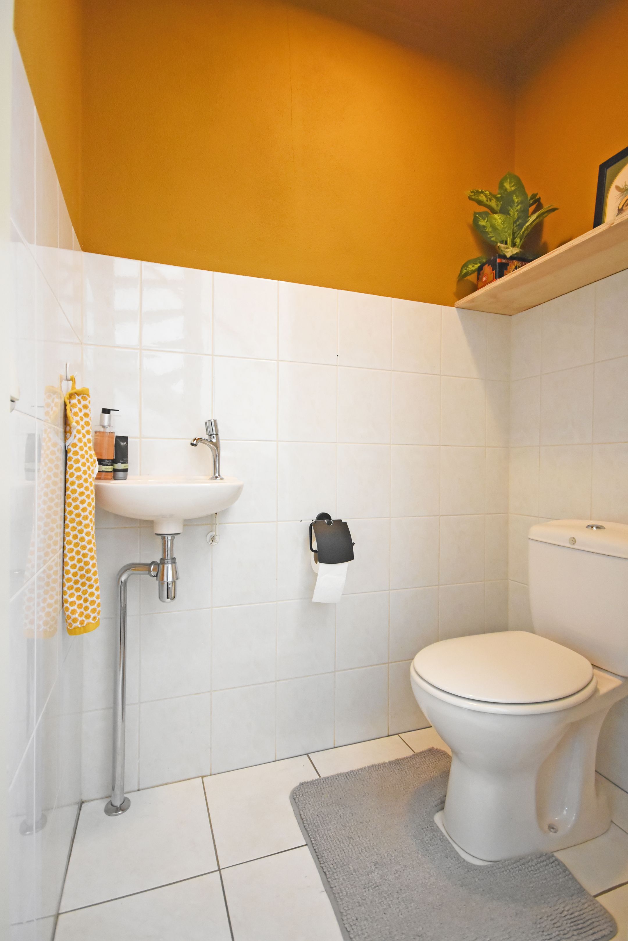 Photo 21 of Ds Carsjenssingel 59