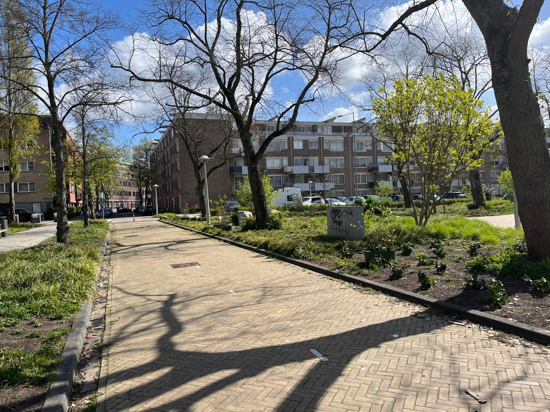 Foto 28 van Sumatraplantsoen 25