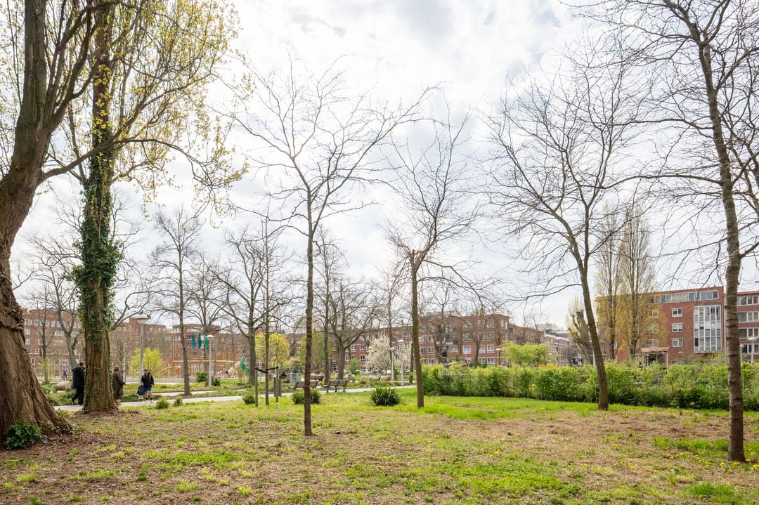 Foto 31 van Sumatraplantsoen 25