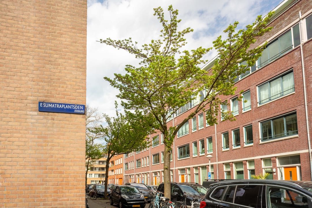 Foto 26 van Sumatraplantsoen 25