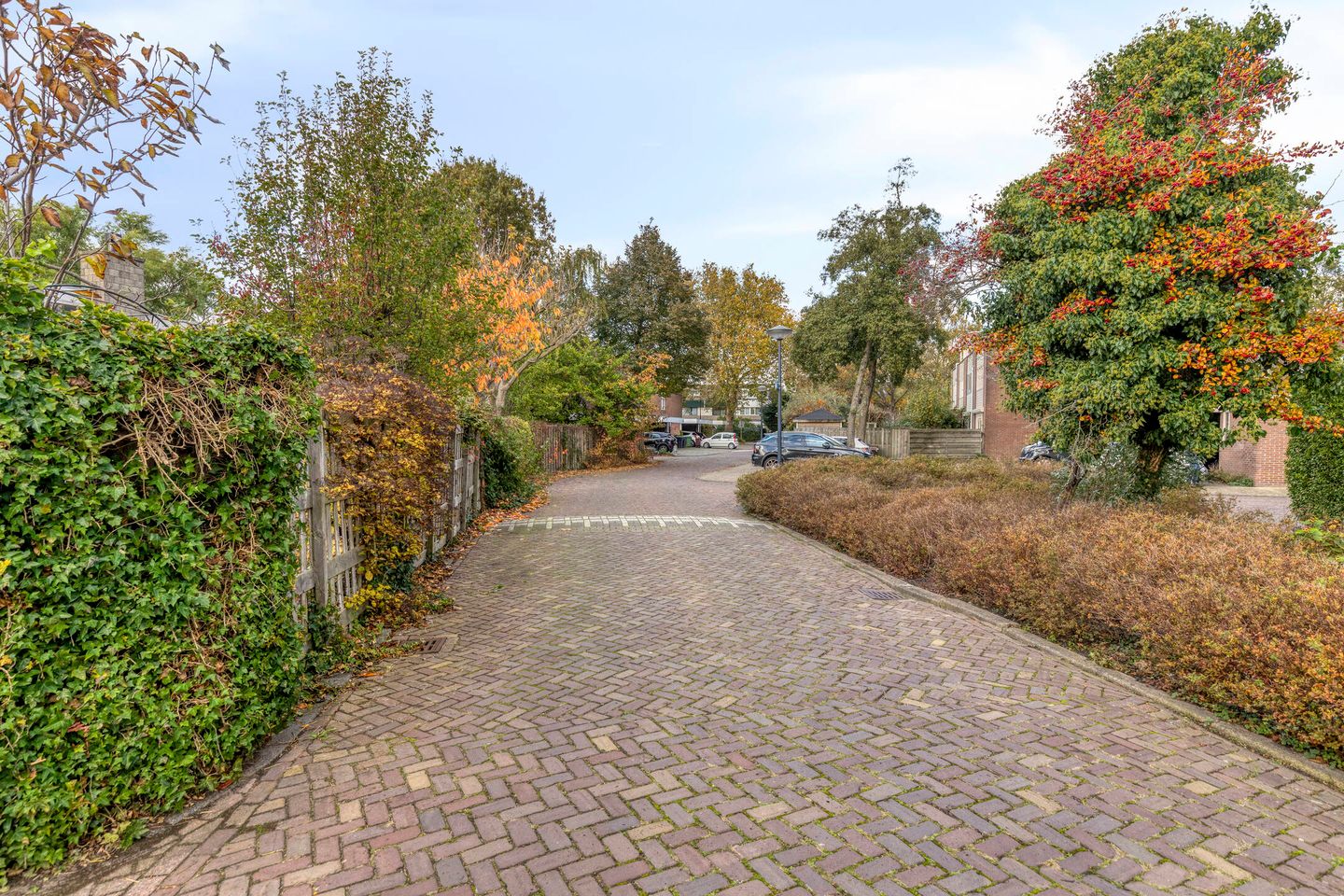 Foto 40 van Kwikstaarthoek 27