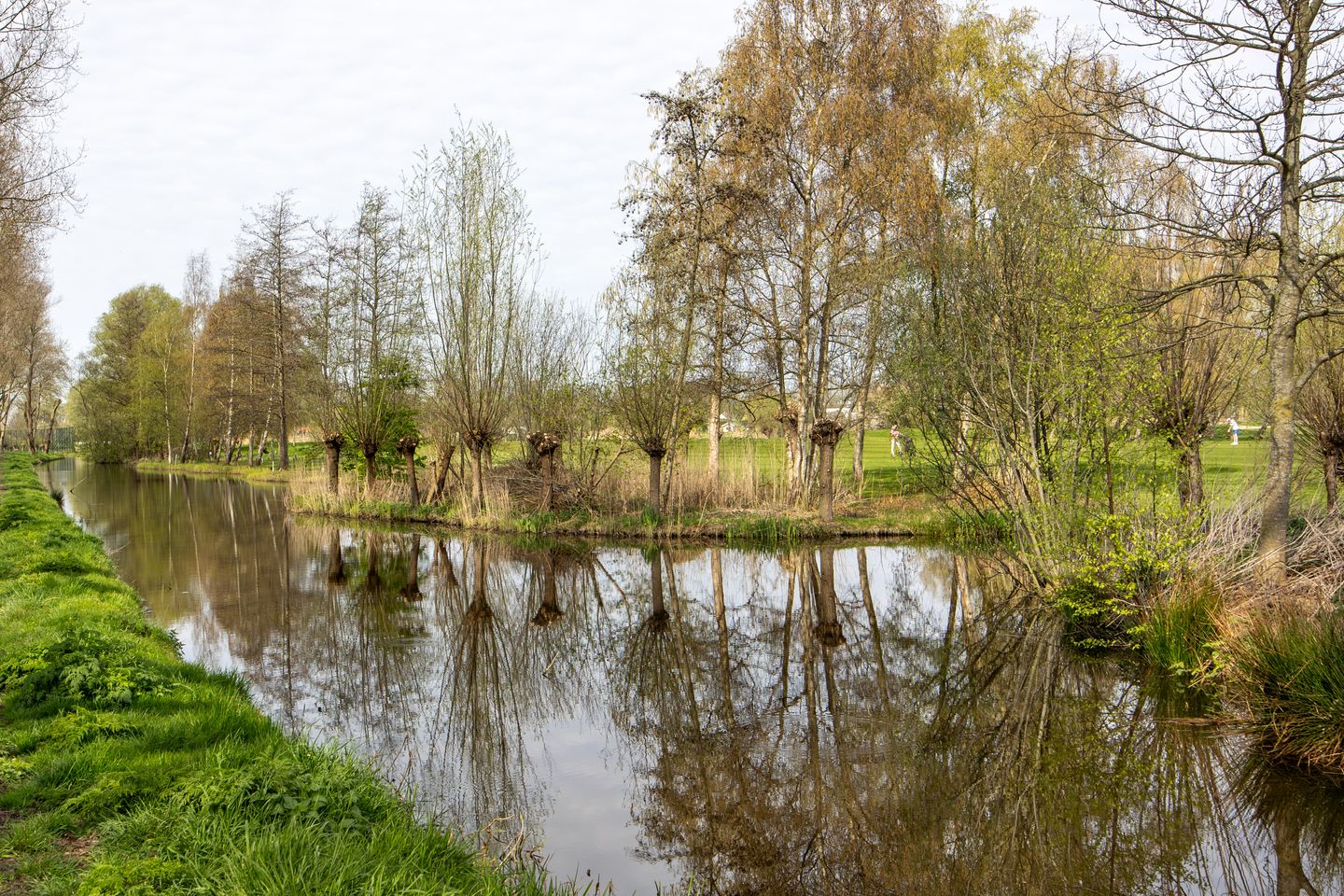 Foto 35 van Bronforel 26