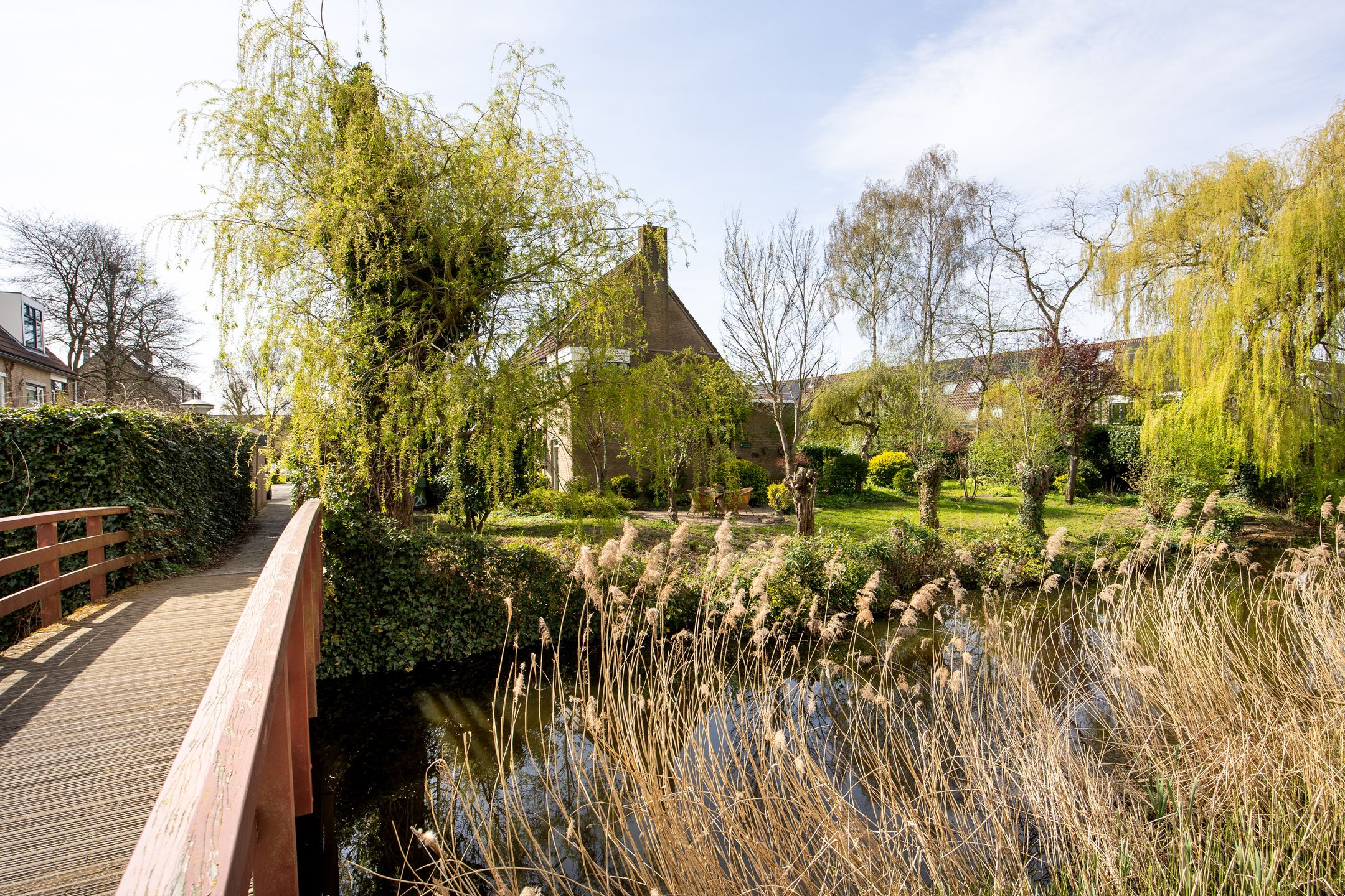 Foto 30 van Bronforel 26