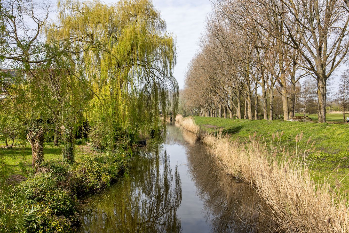 Foto 34 van Bronforel 26