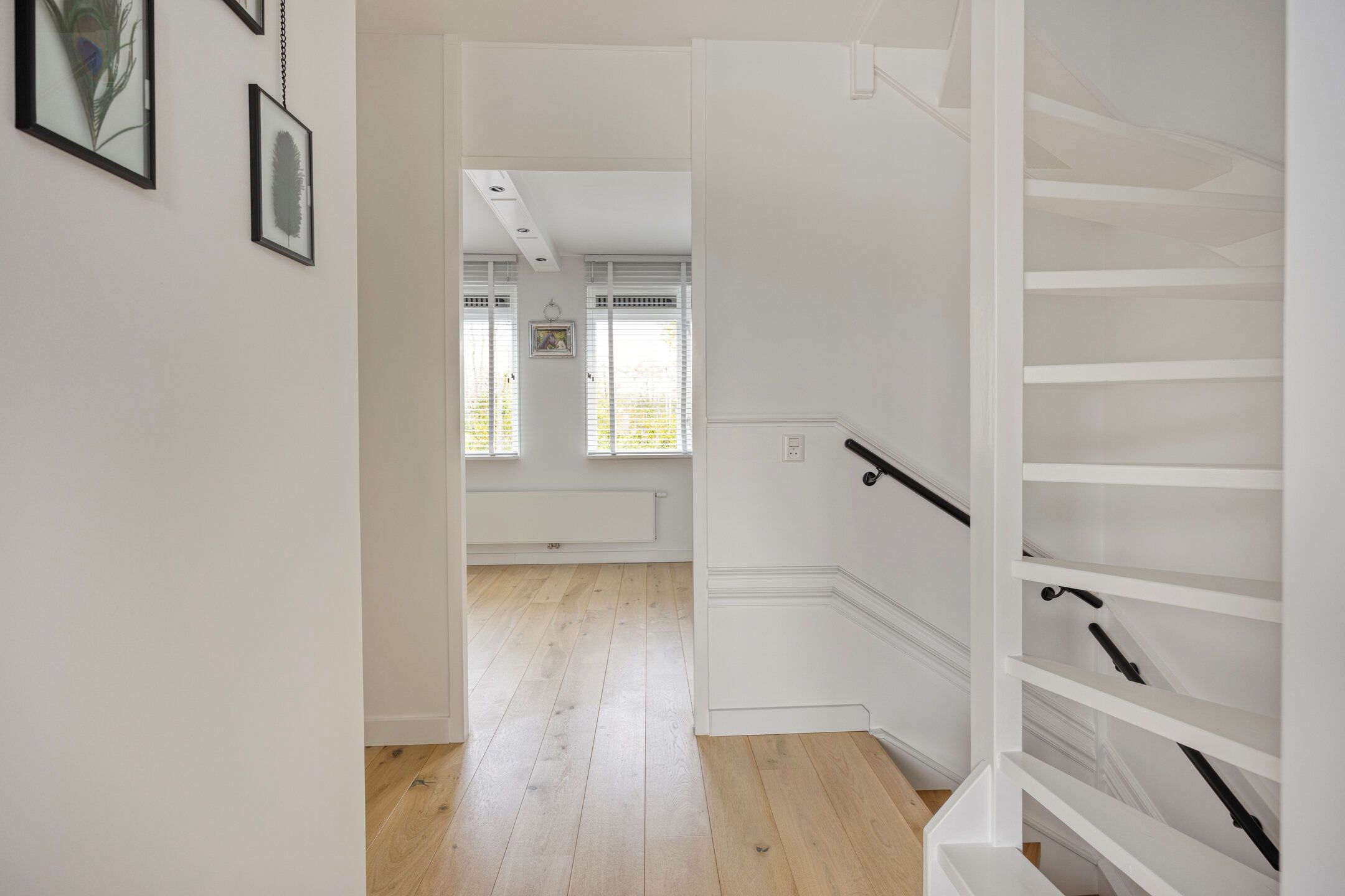 Photo 15 of Jan van Kanrede 35