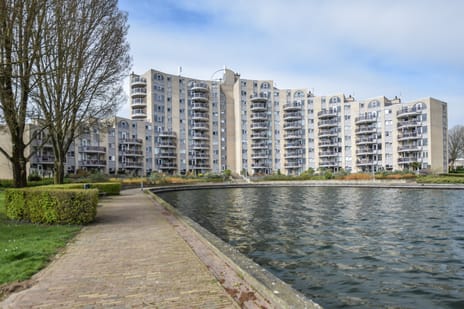 Pisastraat thumbnail