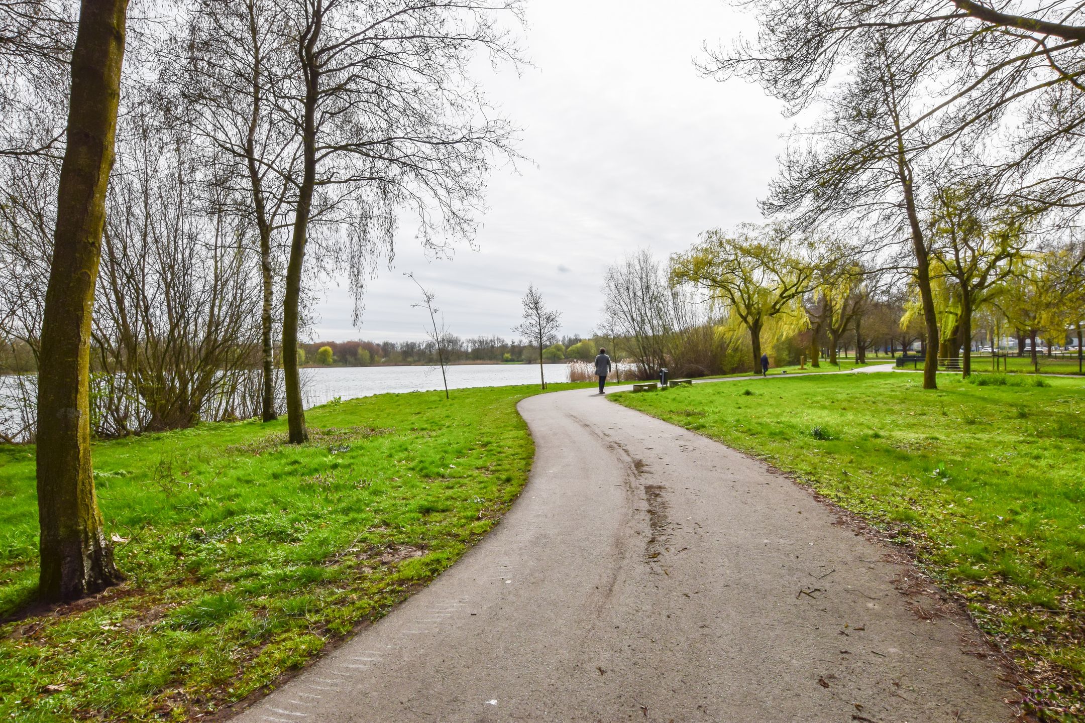 Foto 36 van Pisastraat 105