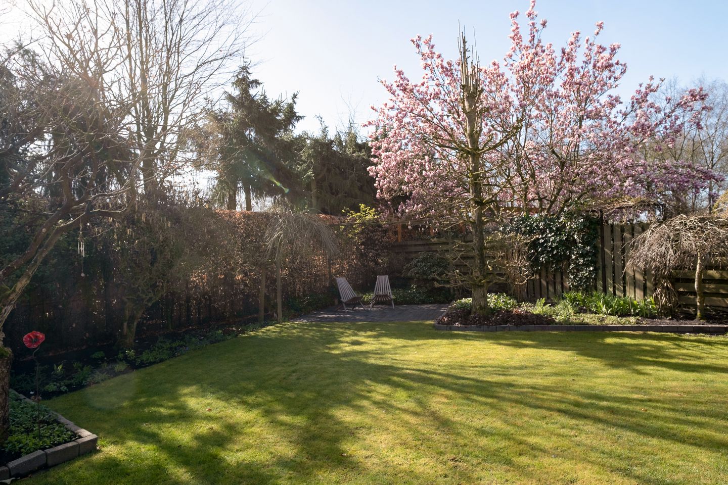 Foto 35 van Dorpergaarden 51