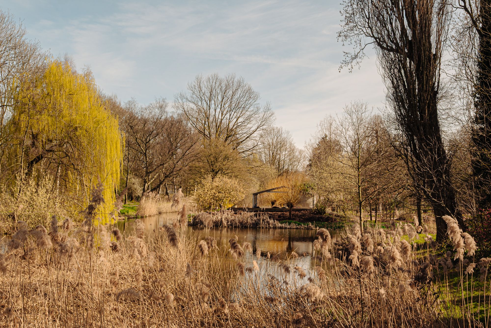 Photo 42 of Torricellistraat 27-H