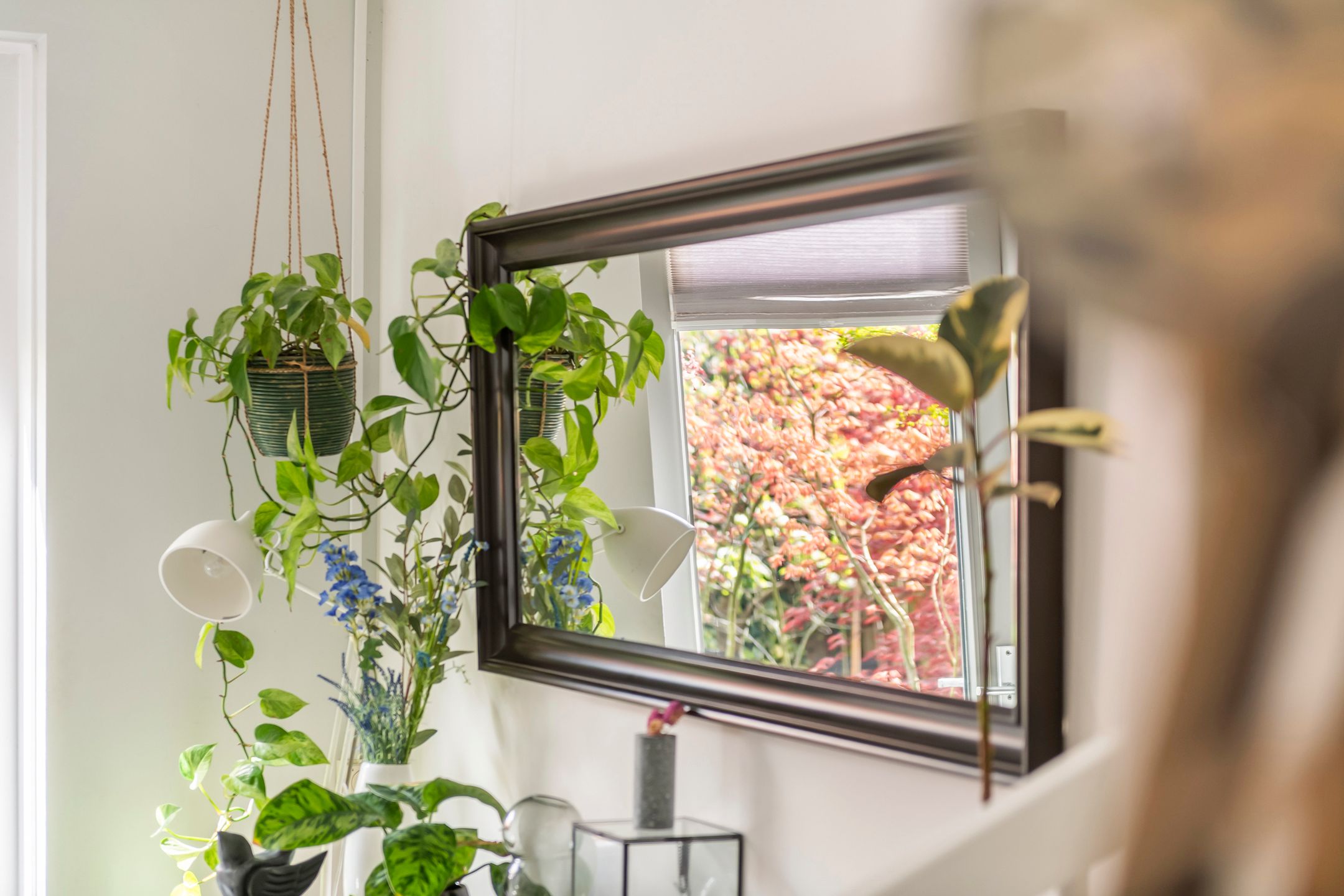 Foto 9 van Grote Parelmoervlinder 18