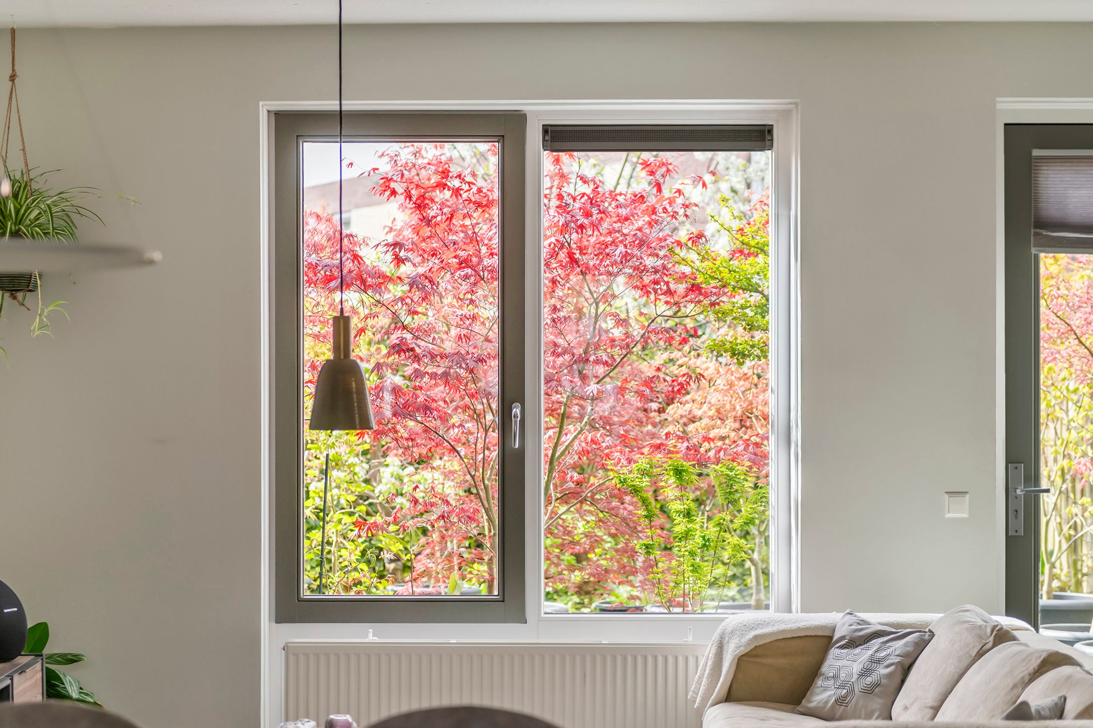 Foto 12 van Grote Parelmoervlinder 18