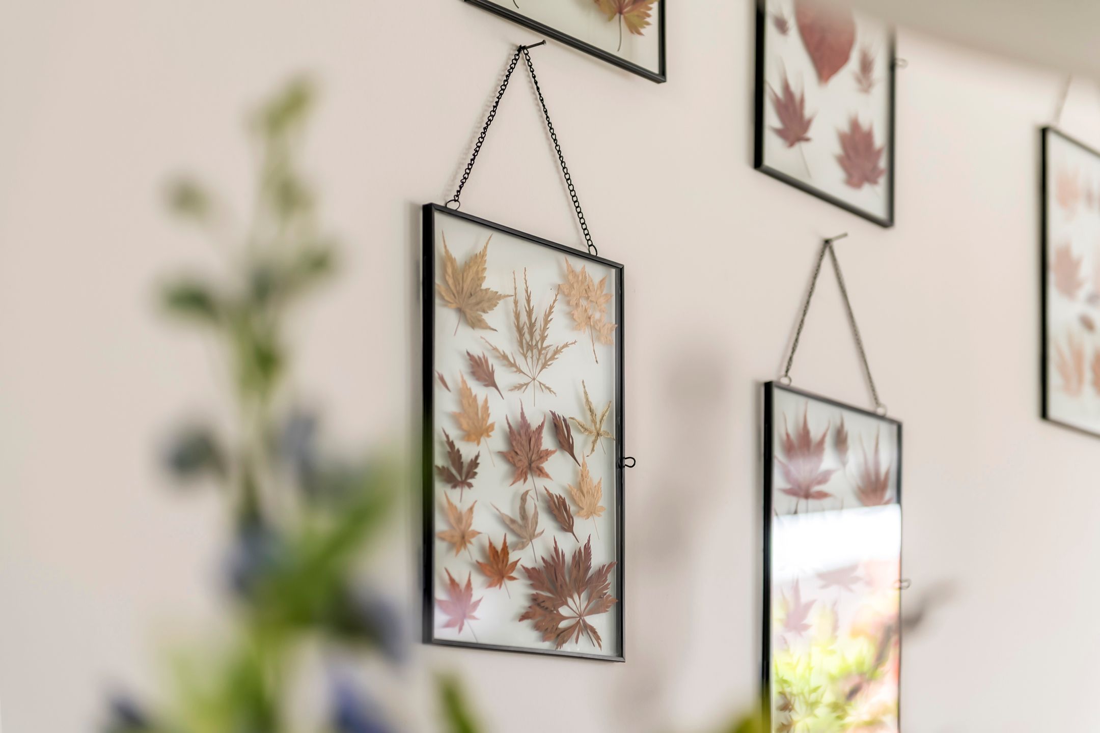 Foto 15 van Grote Parelmoervlinder 18