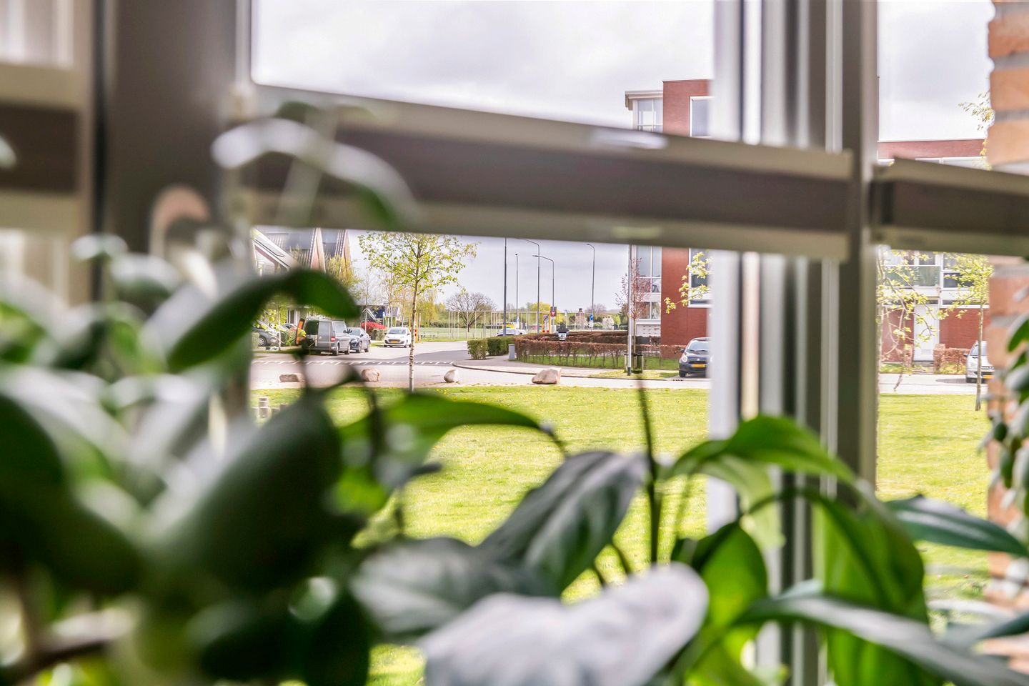 Foto 19 van Grote Parelmoervlinder 18