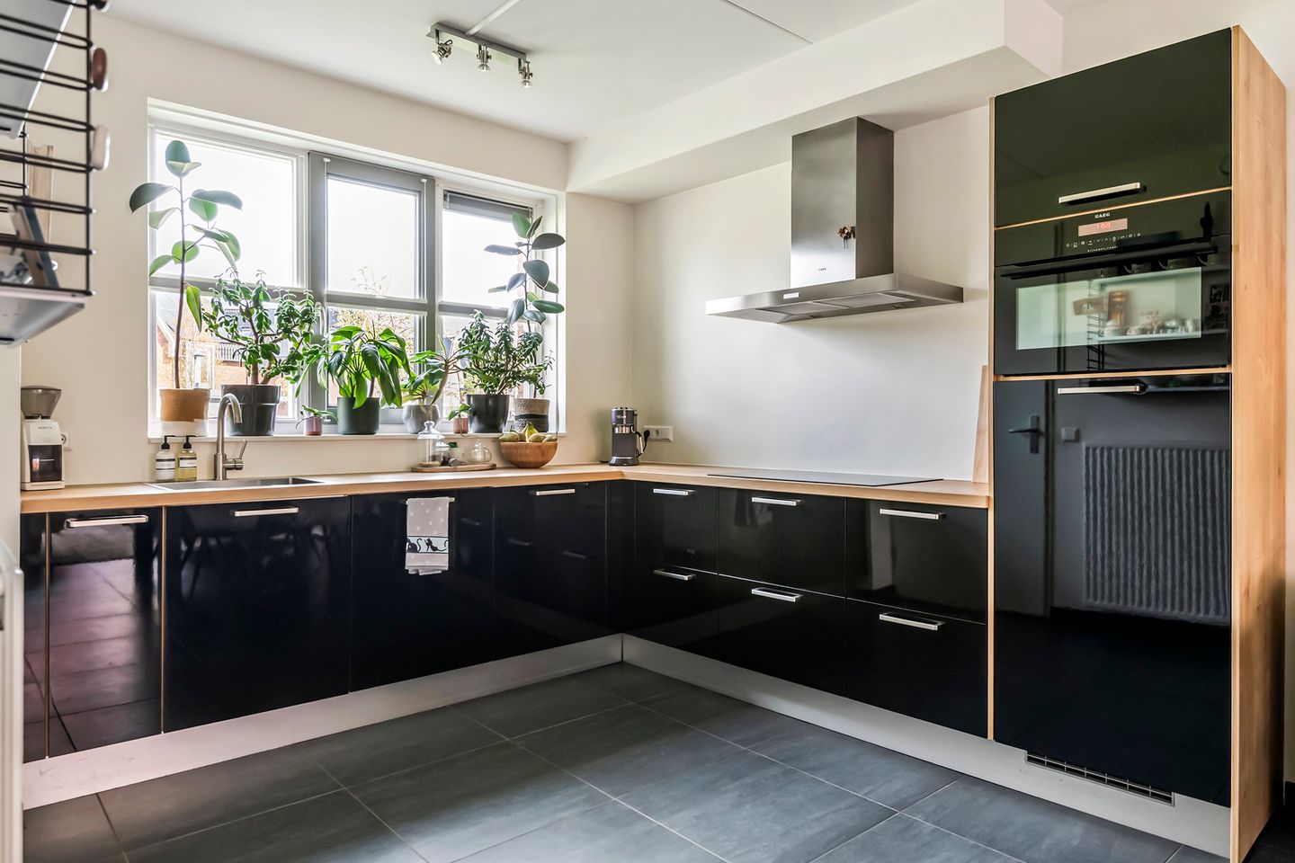 Foto 20 van Grote Parelmoervlinder 18