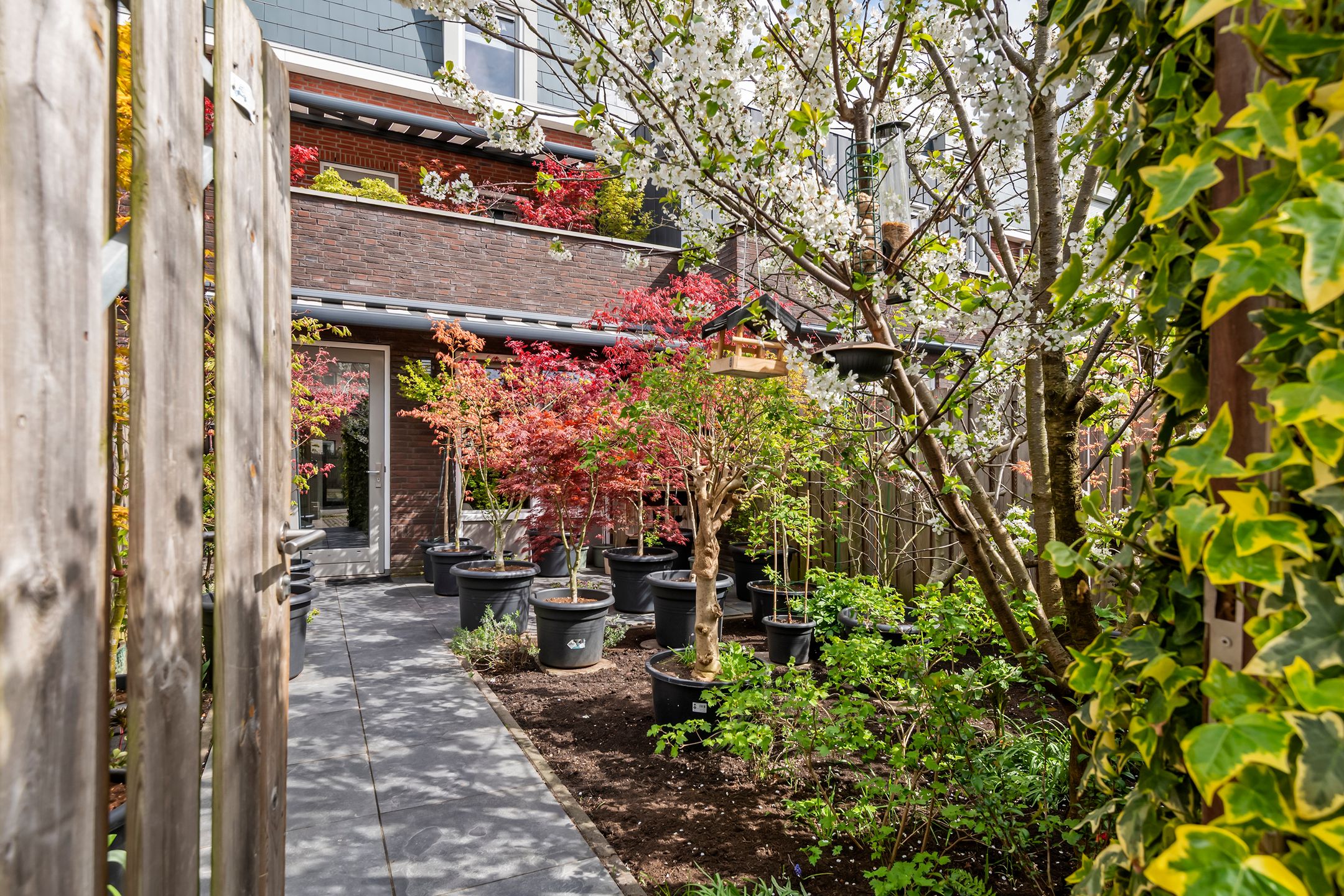 Foto 36 van Grote Parelmoervlinder 18