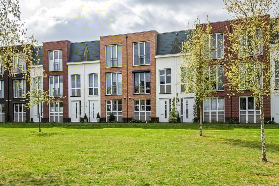 Foto 41 van Grote Parelmoervlinder 18