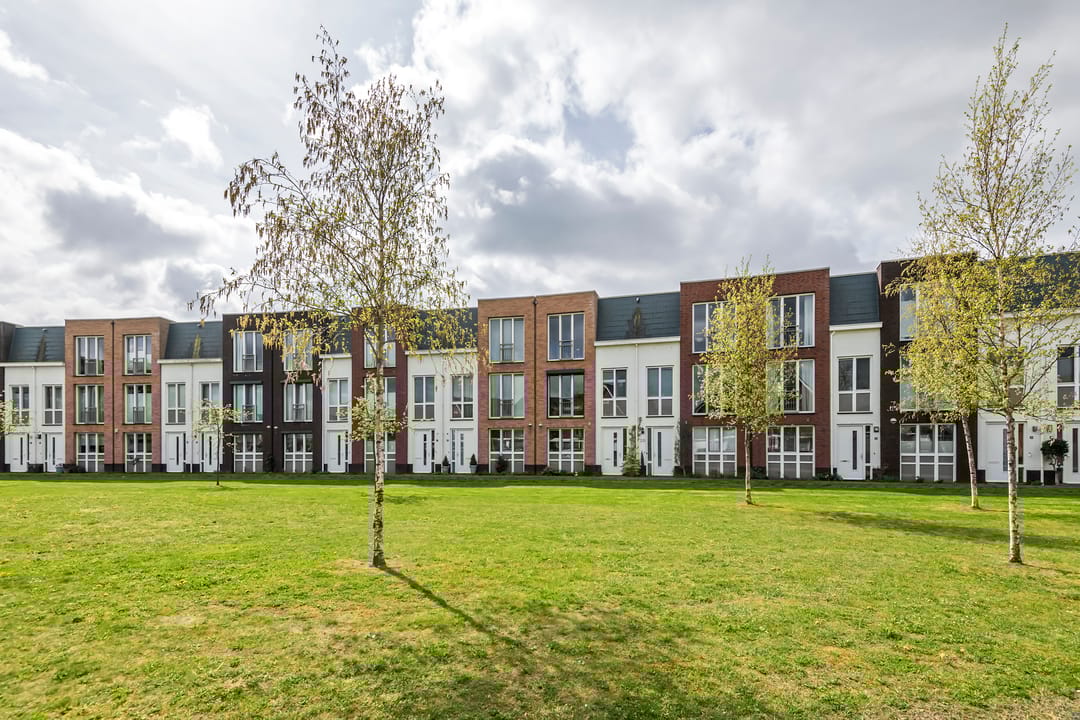 Foto 43 van Grote Parelmoervlinder 18