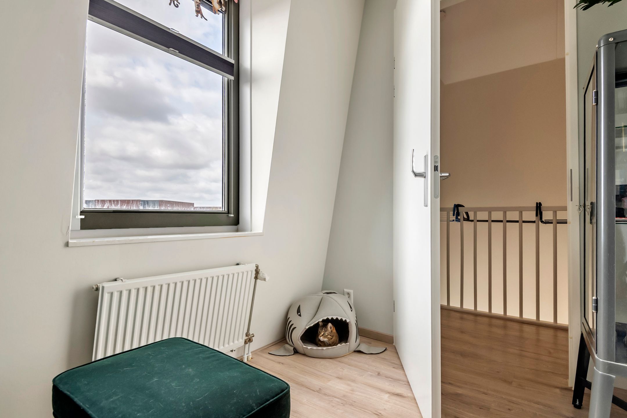 Foto 33 van Grote Parelmoervlinder 18