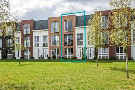 Grote Parelmoervlinder thumbnail