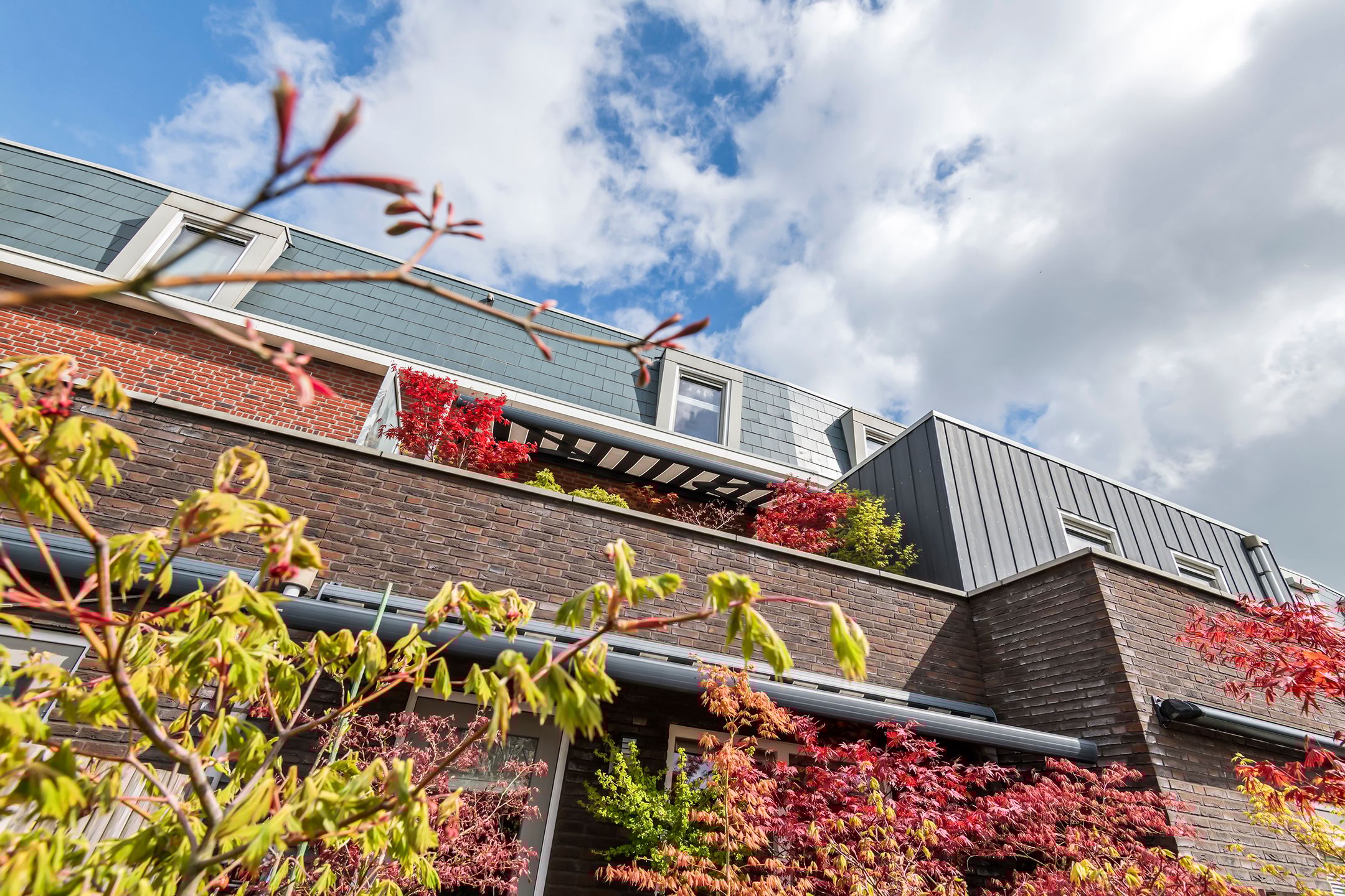 Foto 39 van Grote Parelmoervlinder 18