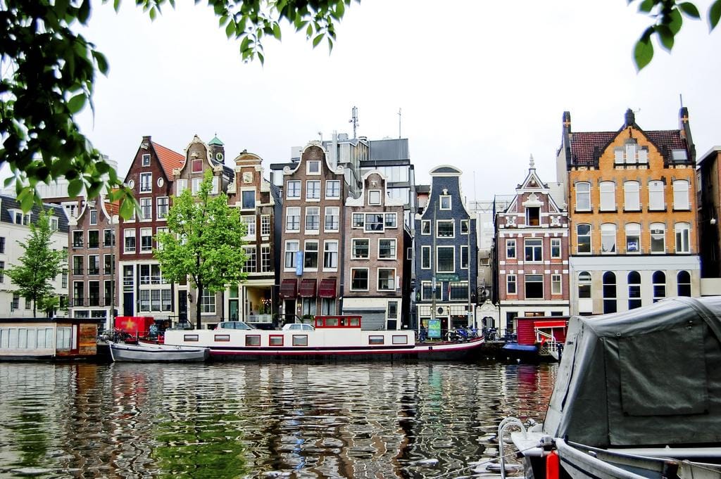 Photo 36 of Amstel 102-M