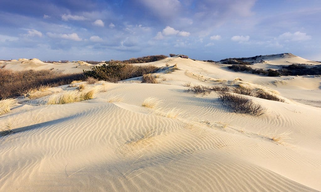 Photo 21 of Bezuidenhoutseweg 80-J