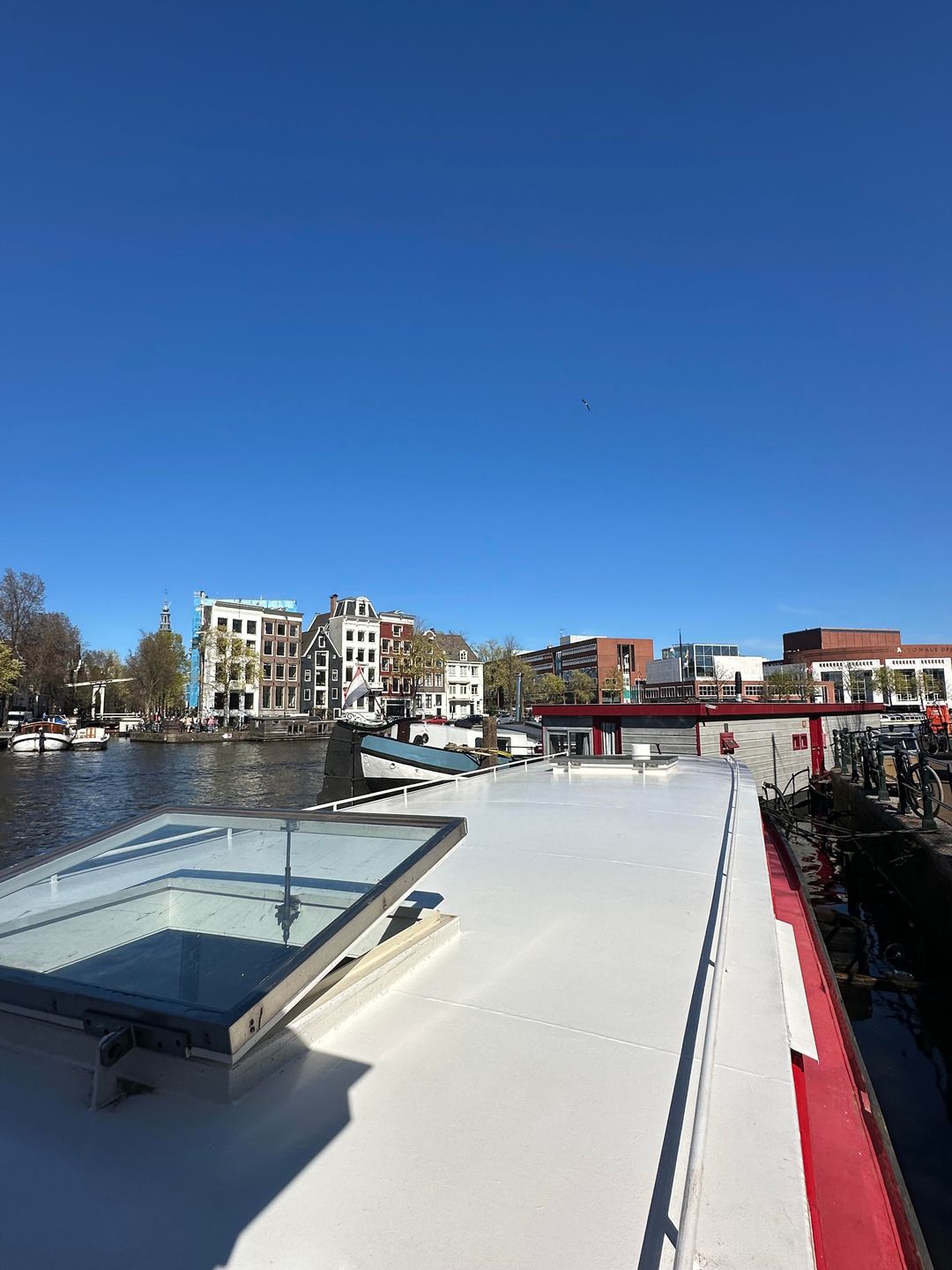 Photo 32 of Amstel 102-M