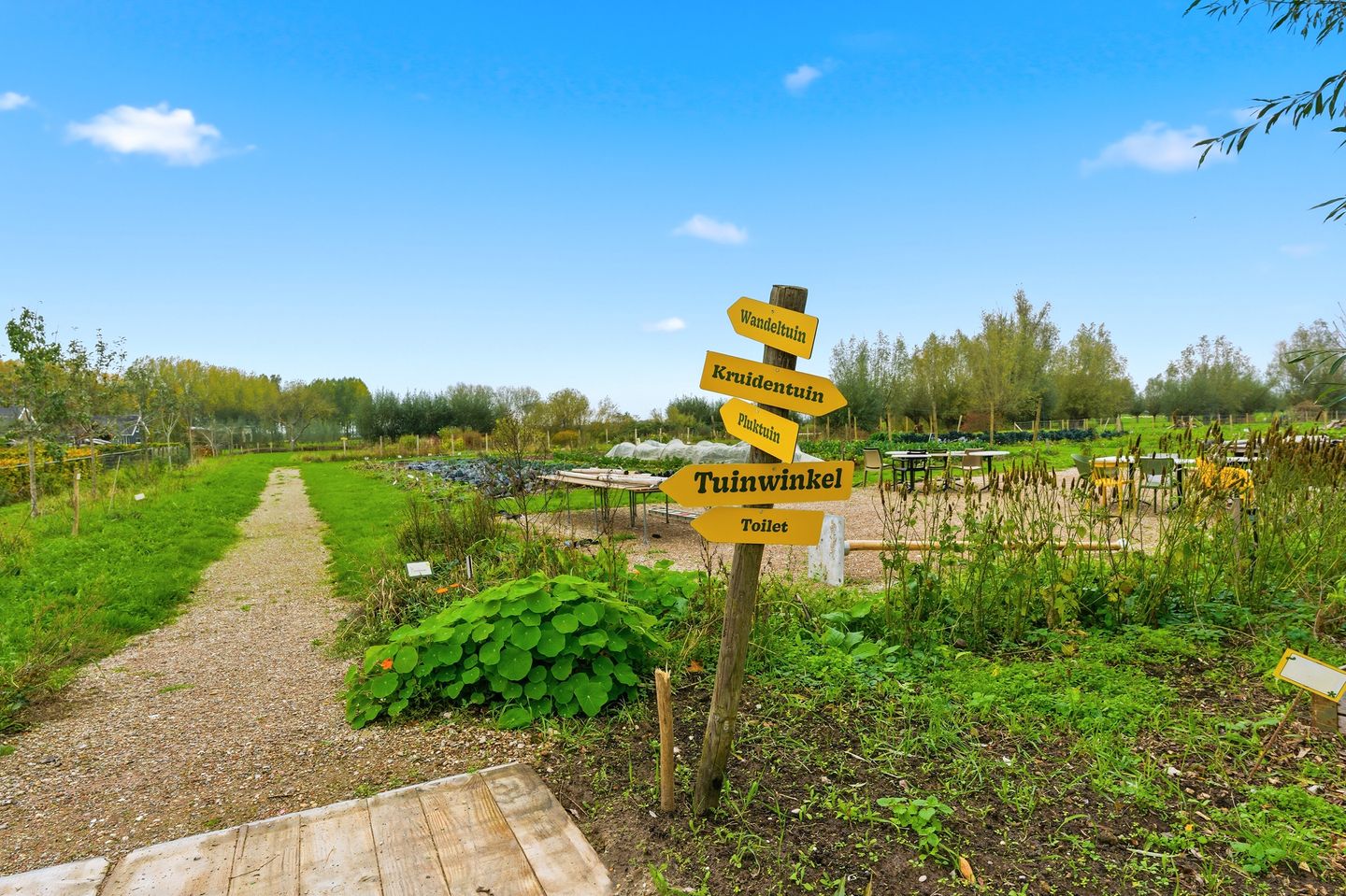 Photo 110 of Nieuwendijk 10