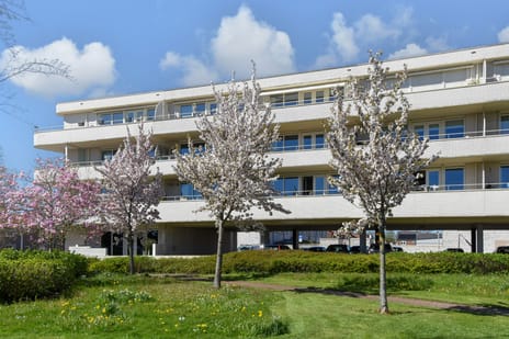 van den Binckhorststraat thumbnail