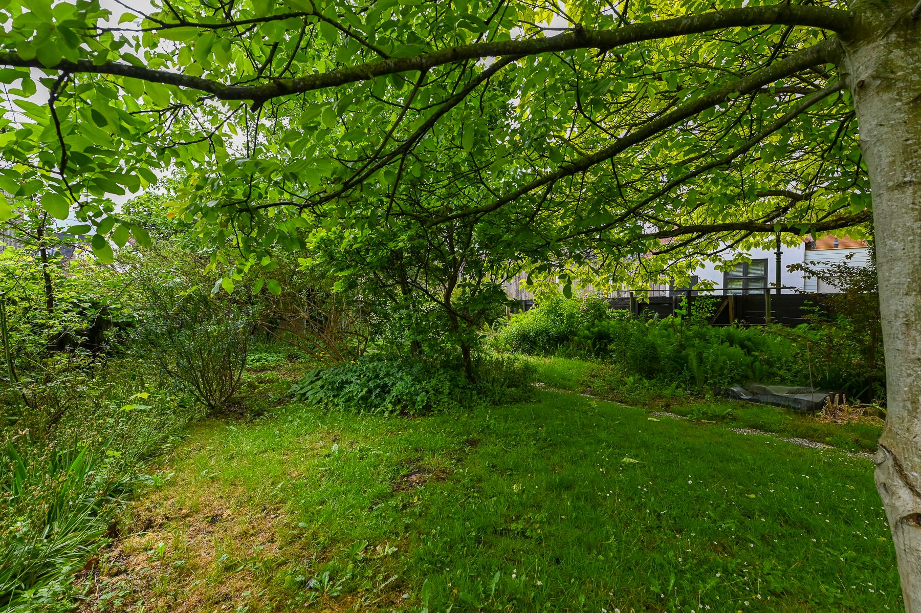 Foto 51 van Dorpsstraat 25