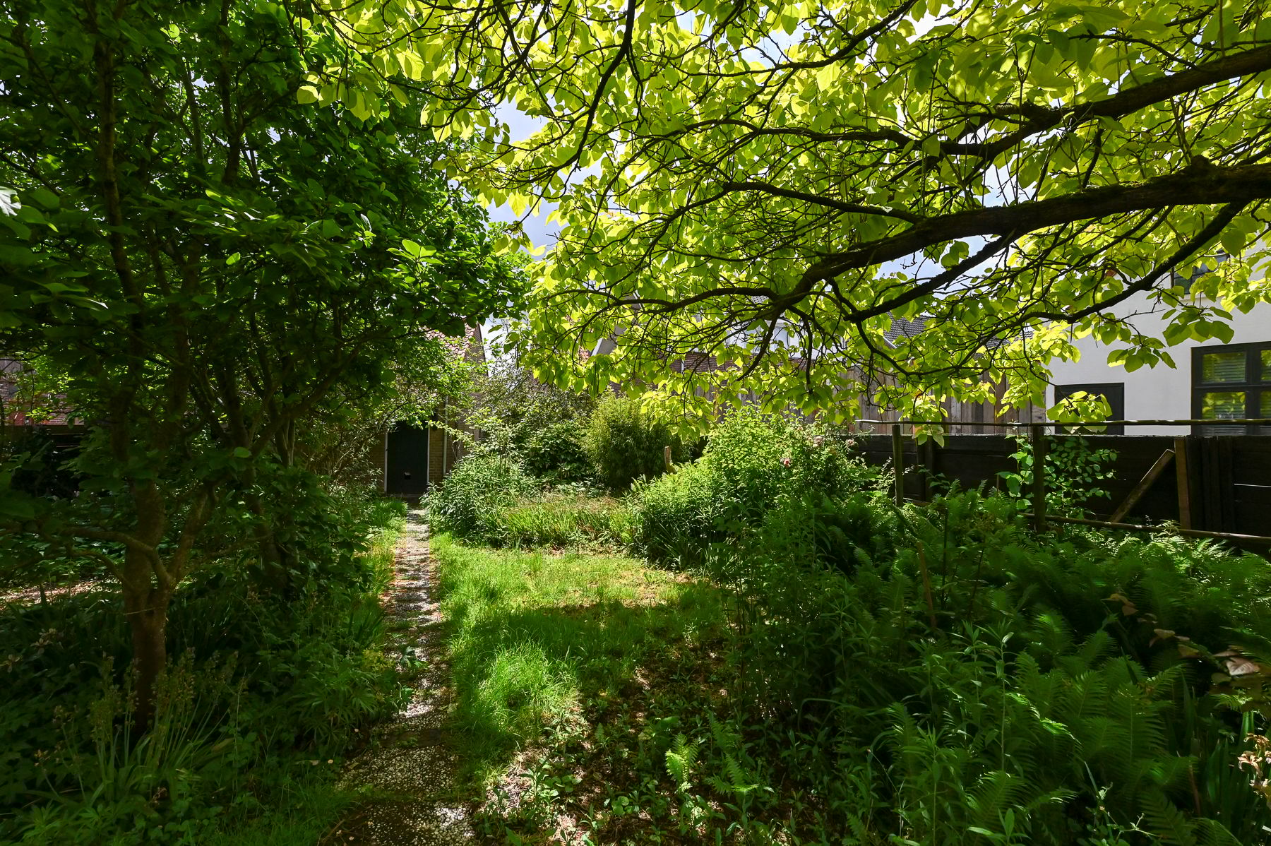 Foto 60 van Dorpsstraat 25