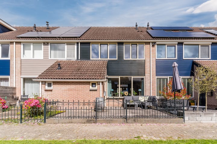 Duiker 104 main image