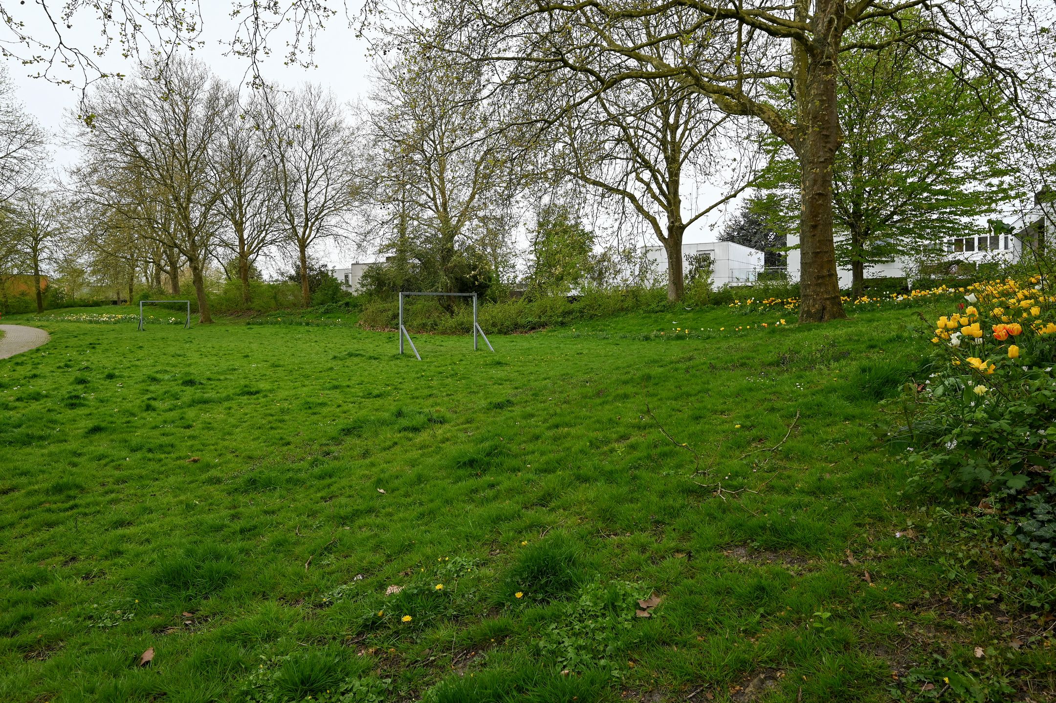 Photo 30 of In het Midden 25