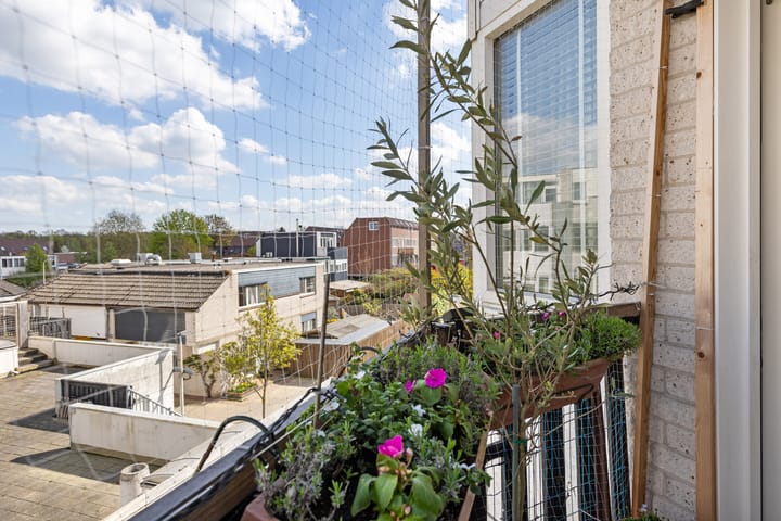 Foto 4 van Maria Danneels erf 45