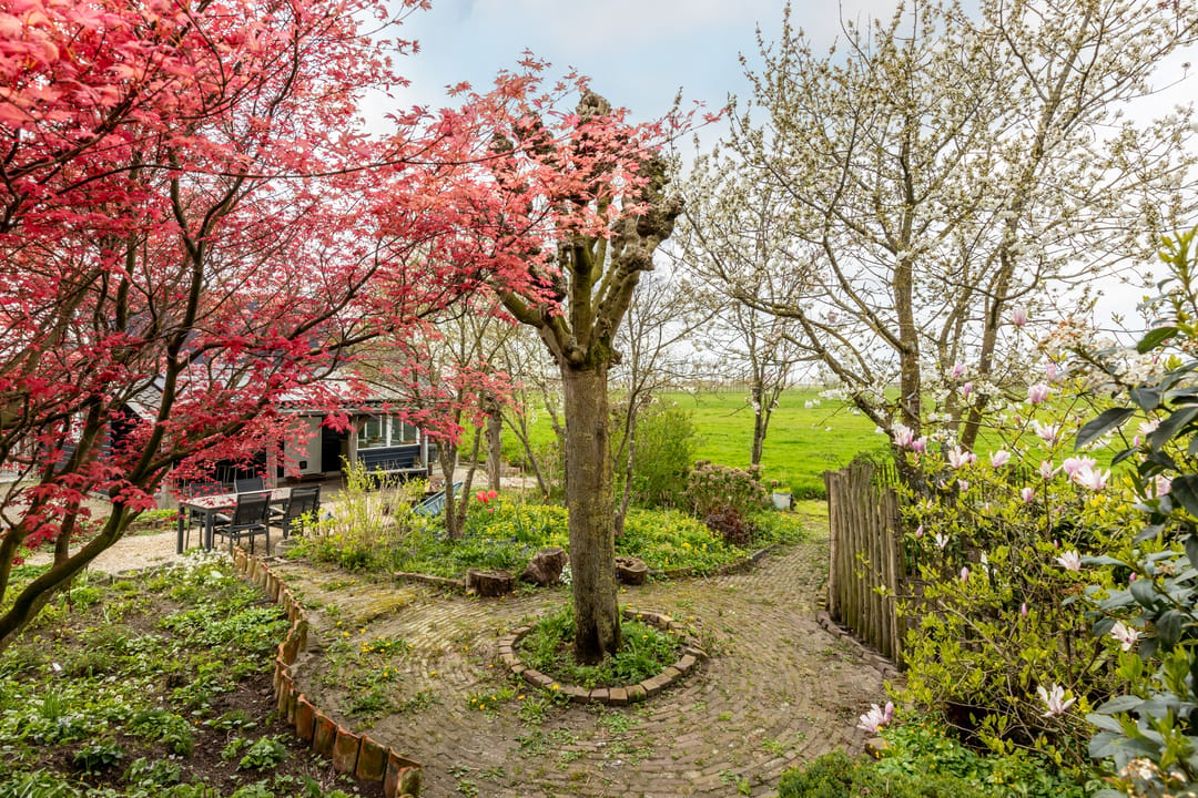 Photo 58 of West Ringdijk 52