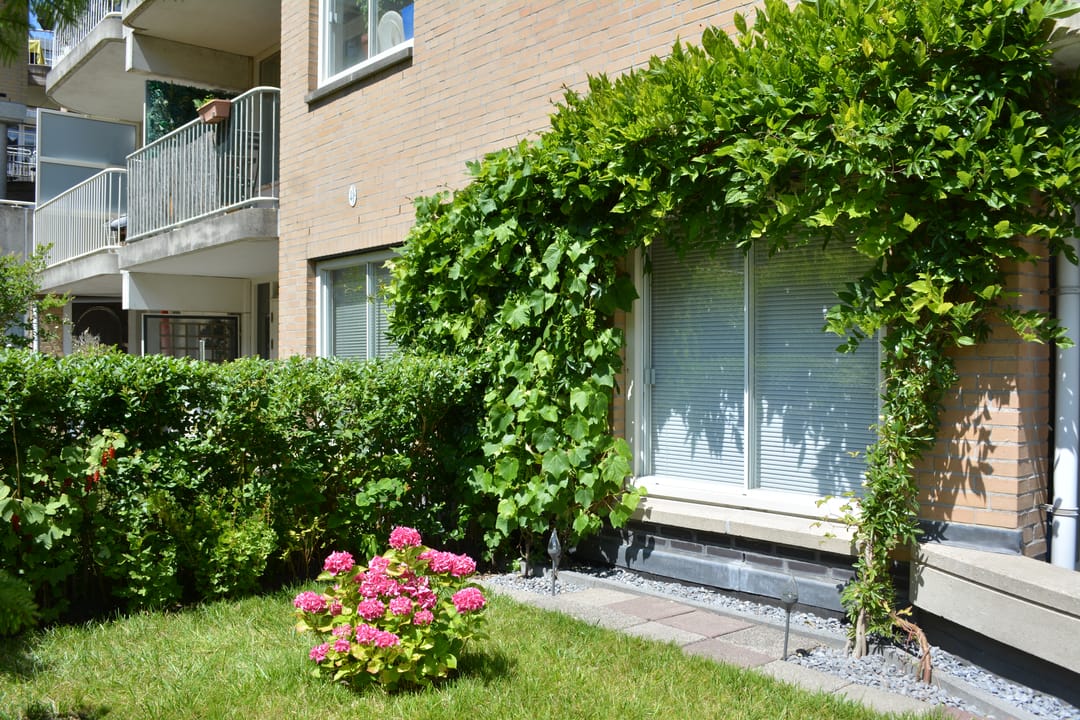 Foto 16 van Lutmastraat 22-A