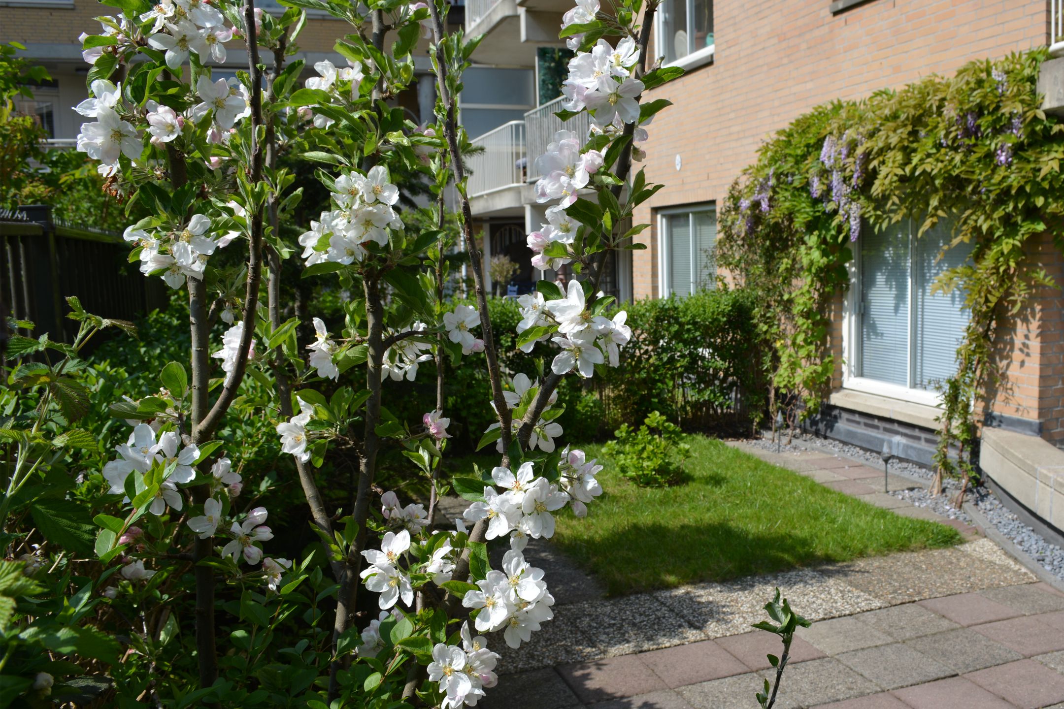 Foto 18 van Lutmastraat 22-A