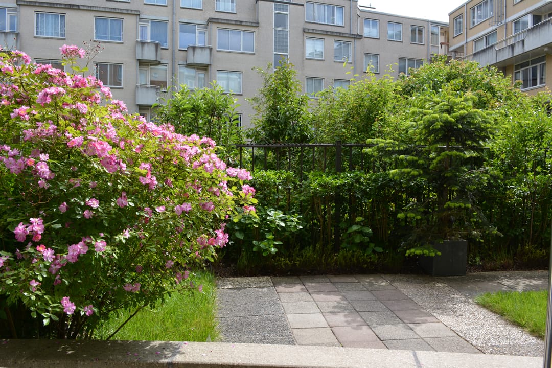 Foto 17 van Lutmastraat 22-A