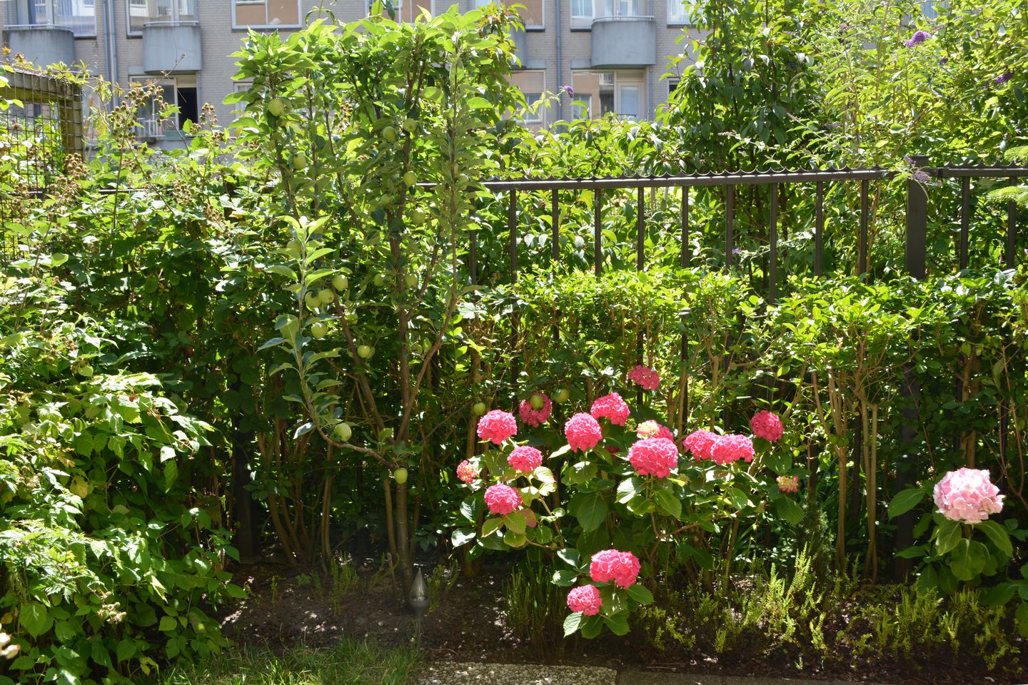 Foto 19 van Lutmastraat 22-A