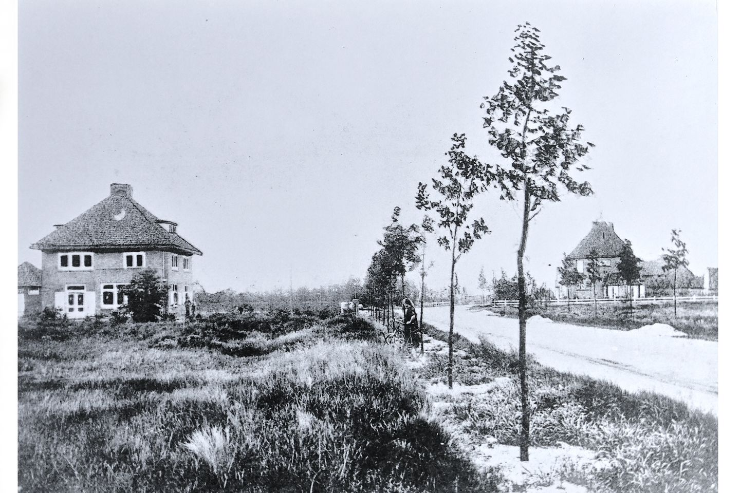 Foto 49 van Ericaweg 2