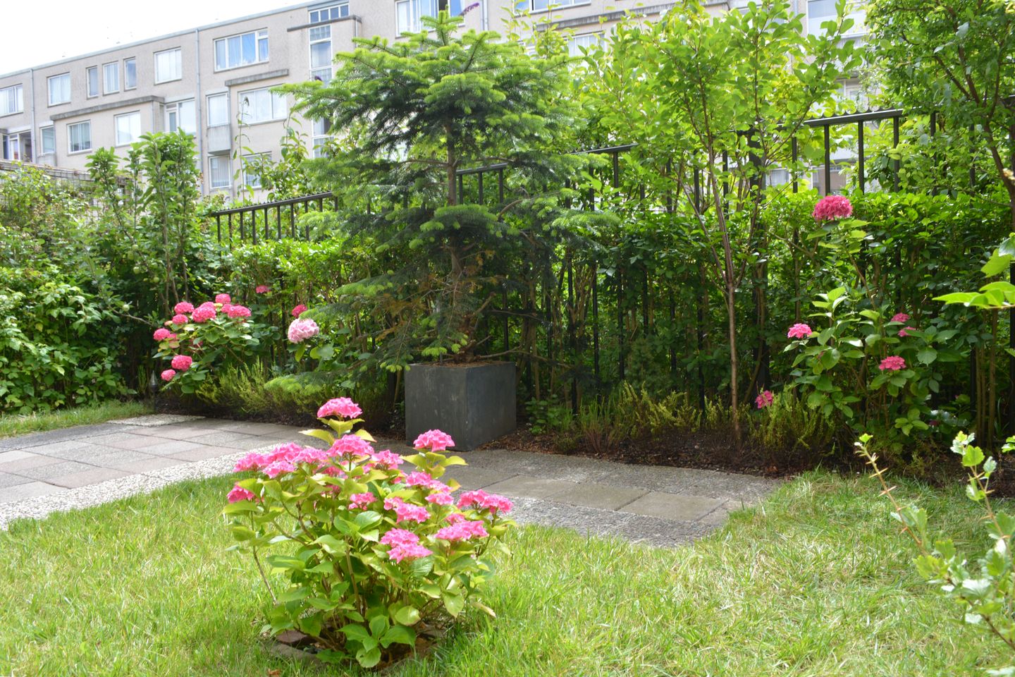 Foto 20 van Lutmastraat 22-A