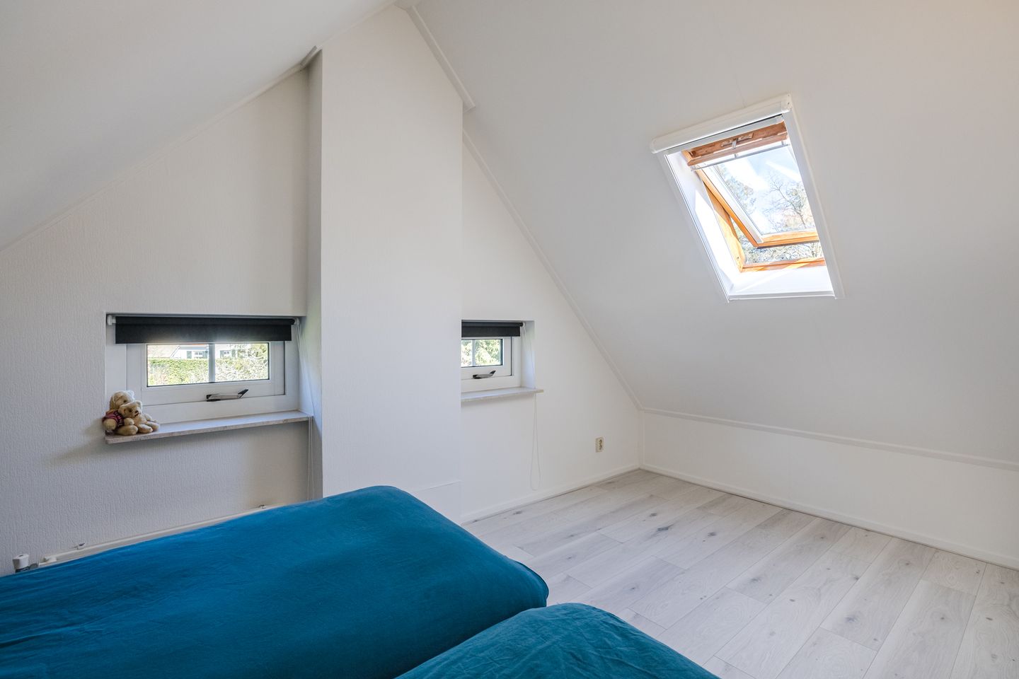 Foto 25 van De Witte Bergen 80